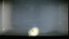 方才还正在炒菜、命霎时就没了！厨房里的8大夺